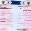 О среднем профессиональном образовании